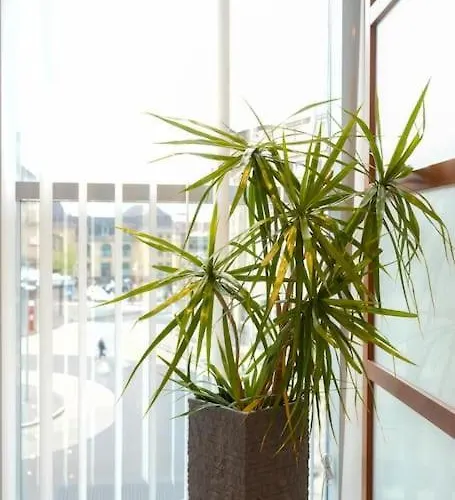 Exklusive Stadtoase Design-wohnung - Panoramablick Appartement *